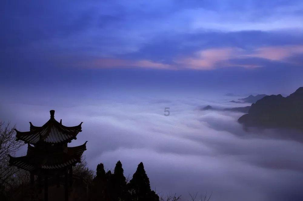 绿意盎然