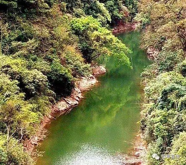 王傲世的梦